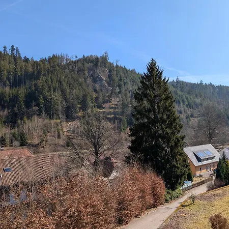 Idyllisches Mit Panoramablick Ruhe Und Erholung Naehe Buga Apartment Baiersbronn