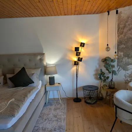 Im Schwarzwald -natur, Kamin & Wlan, Naehe