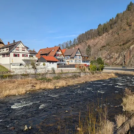 Appartement Im Schwarzwald -natur, Kamin & Wlan, Naehe