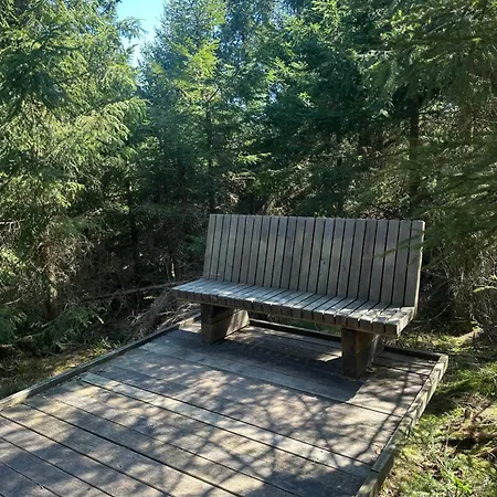 Apartment Im Schwarzwald -natur, Kamin&wlan, Nähe