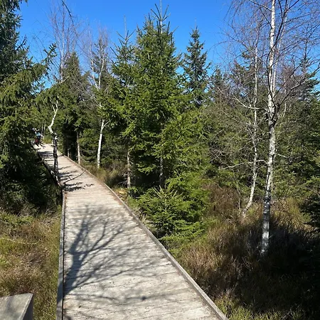 Apartment Im Schwarzwald -natur, Kamin&wlan, Nähe