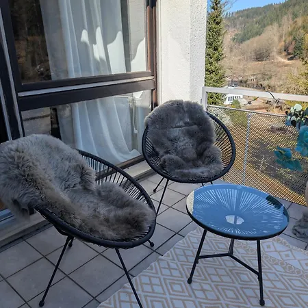 Apartment Idyllisches Mit Panoramablick Ruhe Und Erholung Naehe Buga Baiersbronn